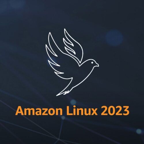 Cara untuk deploy Linux server di Amazon AWS